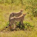 Photo Safari adventure