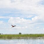 Photo Okavango Delta