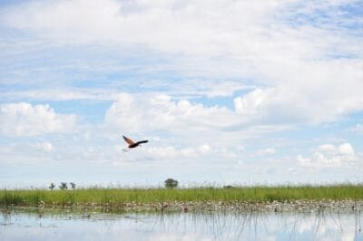 Photo Okavango Delta