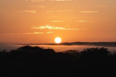Photo Safari sunset