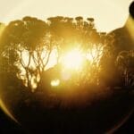 Photo Table Mountain