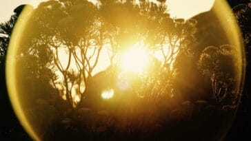 Photo Table Mountain