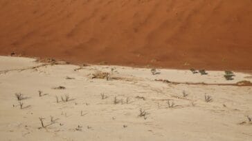 Photo Sossusvlei Dunes