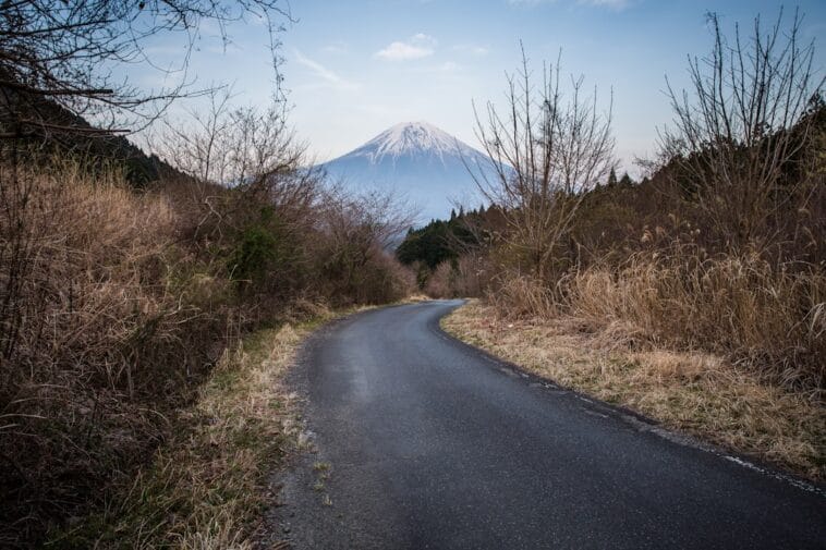 Photo Snow-capped peak