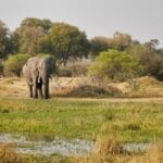 Photo Wildlife encounter