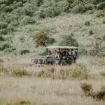 Photo Safari jeep