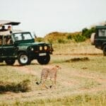 Photo Safari jeep