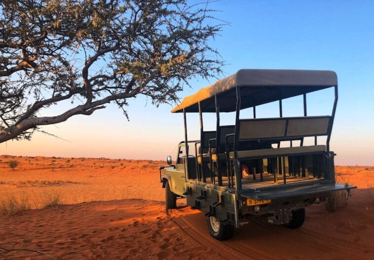 Photo Safari jeep