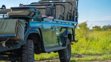 Photo Safari jeep