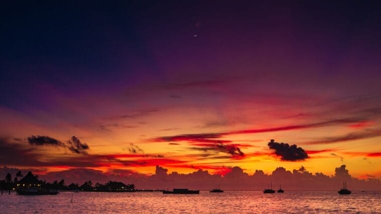 Photo Safari sunset