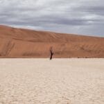 Photo Desert landscape