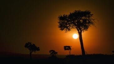 Photo Serengeti sunset