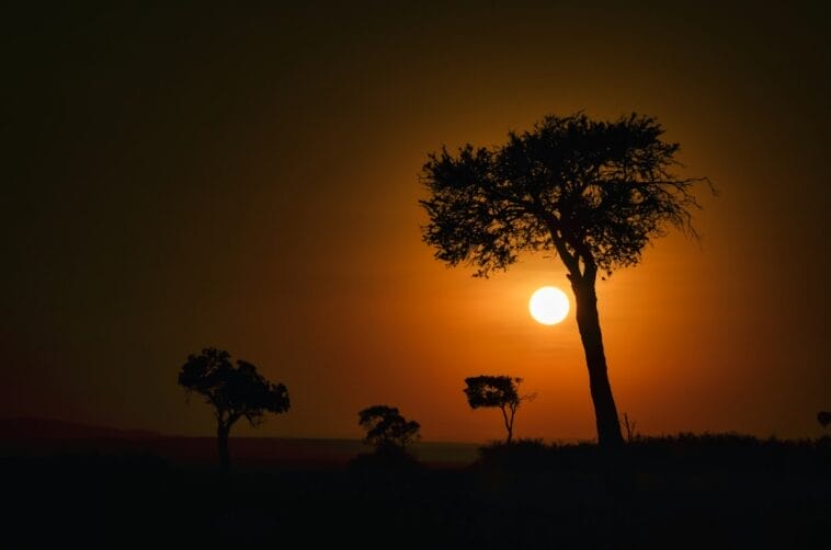 Photo Serengeti sunset