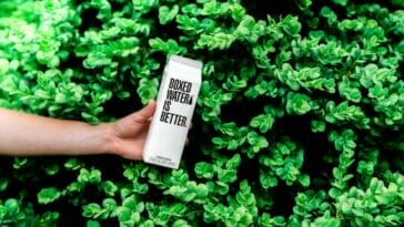 Photo Eco-friendly accommodations