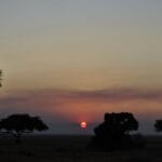 Photo Safari sunset