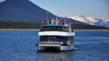 Photo Wildlife viewing