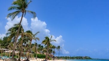 Photo Tropical paradise