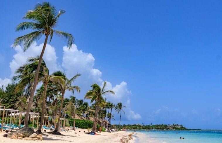 Photo Tropical paradise