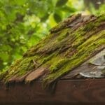 Photo Carthage Ruins