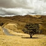 Photo Nelson Mandela