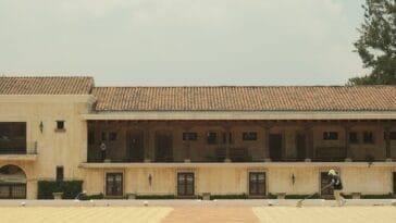 Photo Coffee plantation