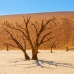 Photo Desert landscape