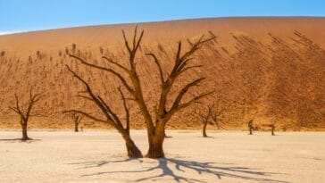 Photo Desert landscape
