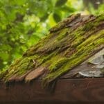 Photo Carthage Ruins