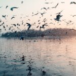 Photo Beautiful landscapes