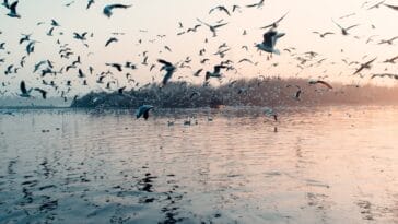 Photo Beautiful landscapes