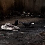 Photo Johannesburg skyline