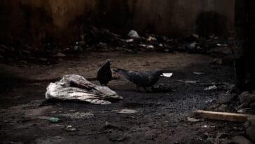 Photo Johannesburg skyline