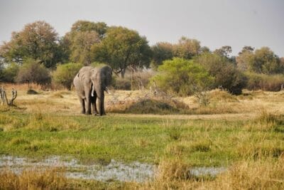 Photo Wildlife encounter