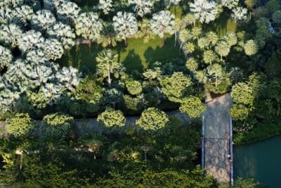 Photo Majorelle Gardens