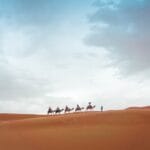 Photo Camel caravan