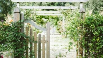 Photo Majorelle Garden