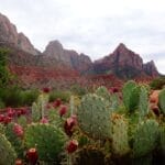 Photo Sahara Desert tours, desert landscapes