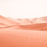 Photo desert excursions, Sahara trips