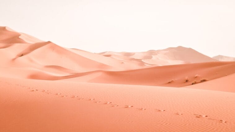 Photo desert excursions, Sahara trips