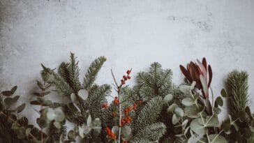 Photo Sahara vacations, holiday trips