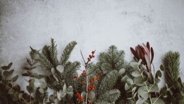 Photo Sahara vacations, holiday trips