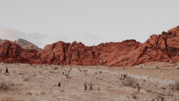 Photo helicopter over desert, aerial views