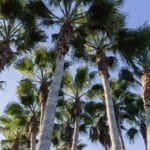 Photo Beachfront promenade
