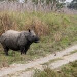 Photo safari parks, wildlife reserves