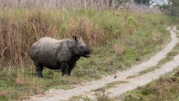 Photo safari parks, wildlife reserves