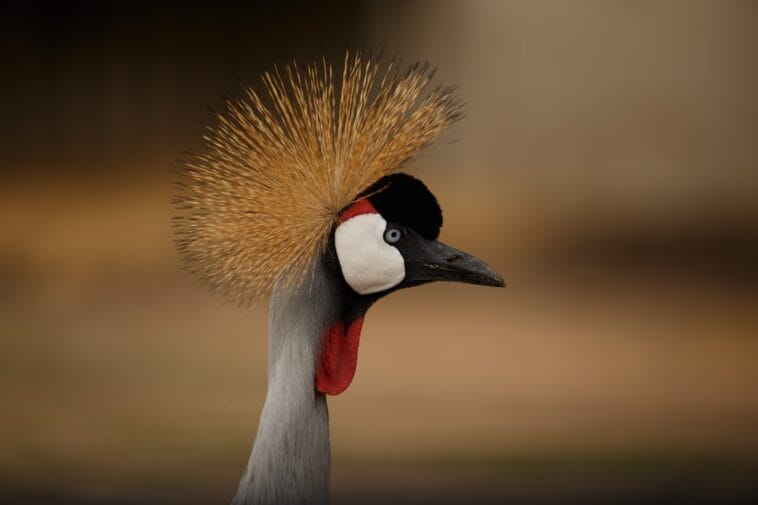 Photo tailored safari tours, personalized safaris