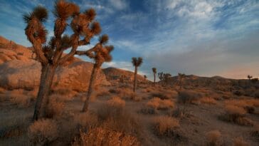 Photo desert land sale, Sahara properties