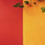 Photo Green, red, yellow