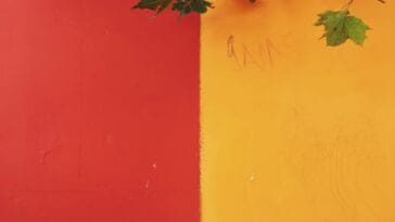 Photo Green, red, yellow