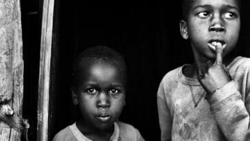 Photo african safari prices